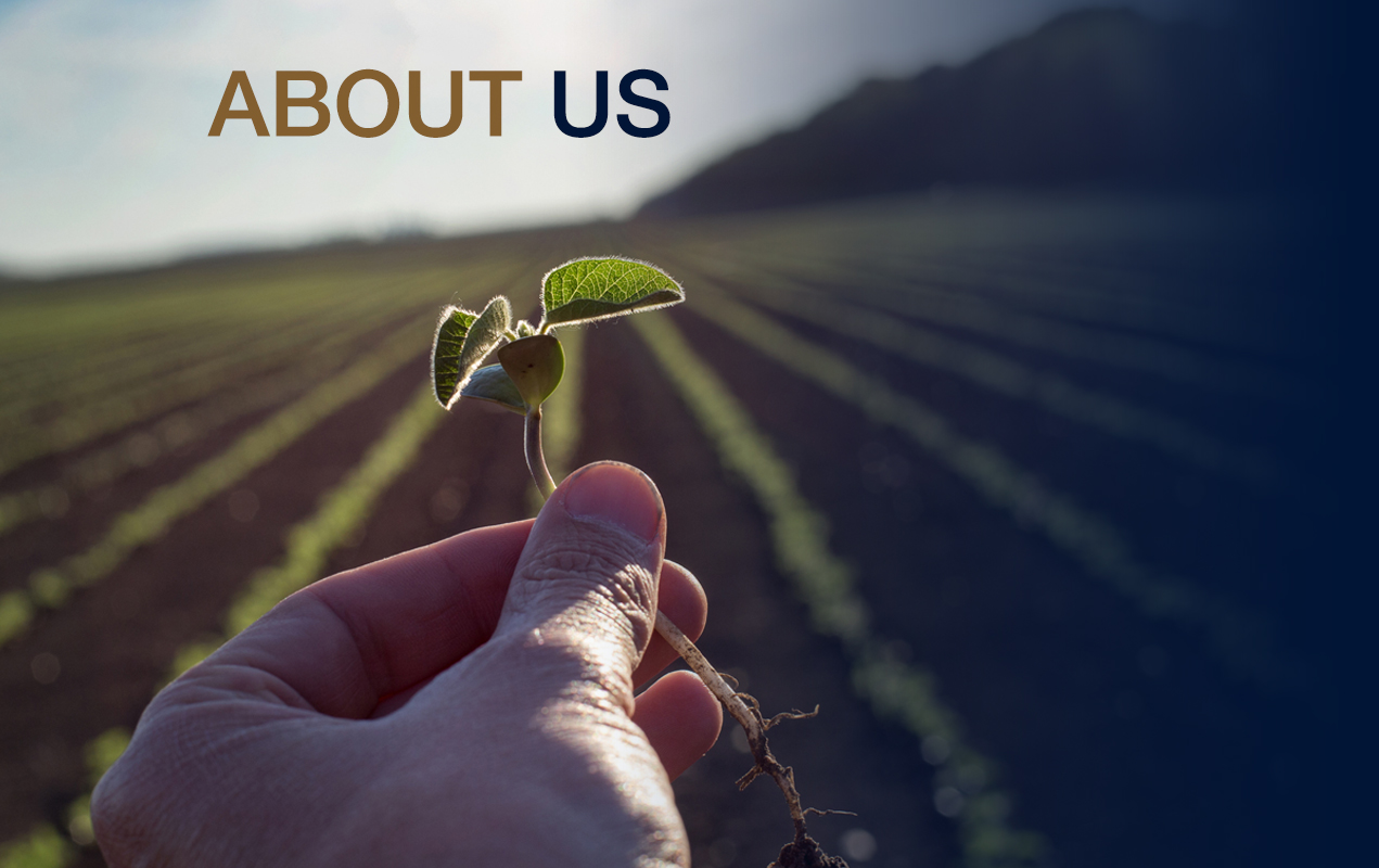 about us